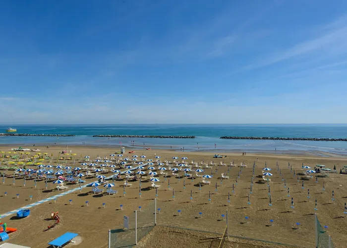 Hôtel accueillant les animaux: Nautic Beach Hotel