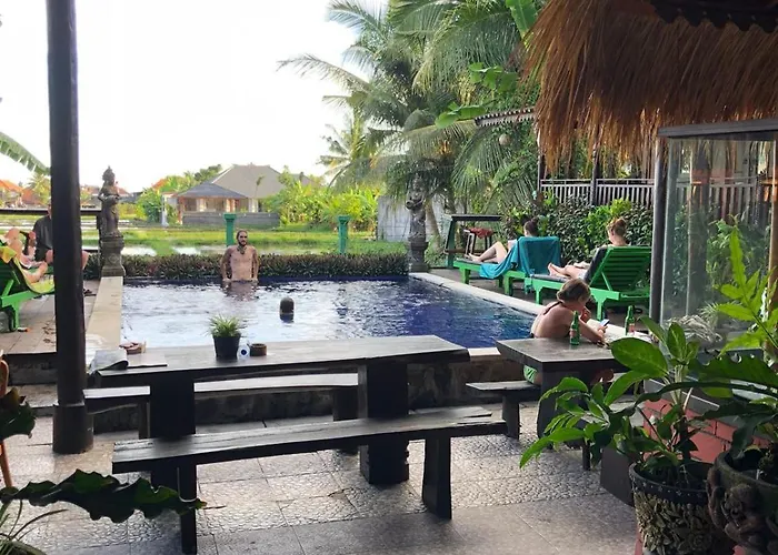 Hotel: Green Paddy Hostel & Villa