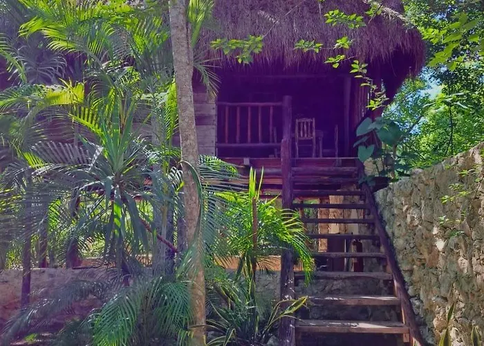 Hotel de 3 estrelas: Casa Mango