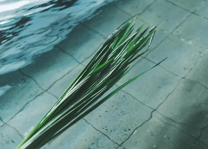 Central hotel: Soki Kanazawa