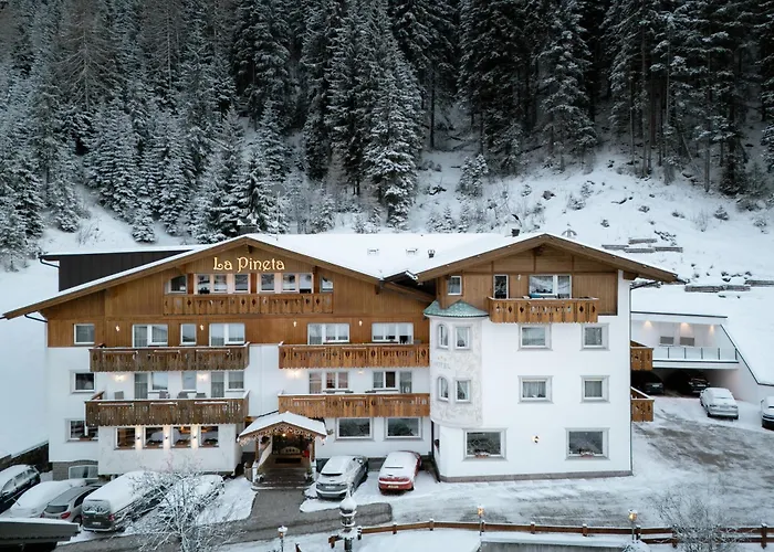 3 star hotel: Hotel La Pineta