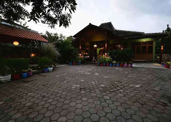 Pet Friendly hotel: Sleepy Raccoon Hostel