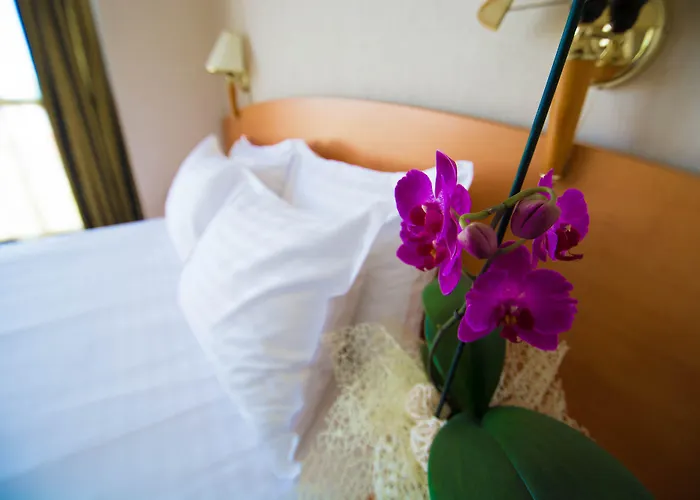 Hotel Class