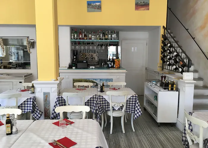 Pet Friendly hotel: Hotel Alex