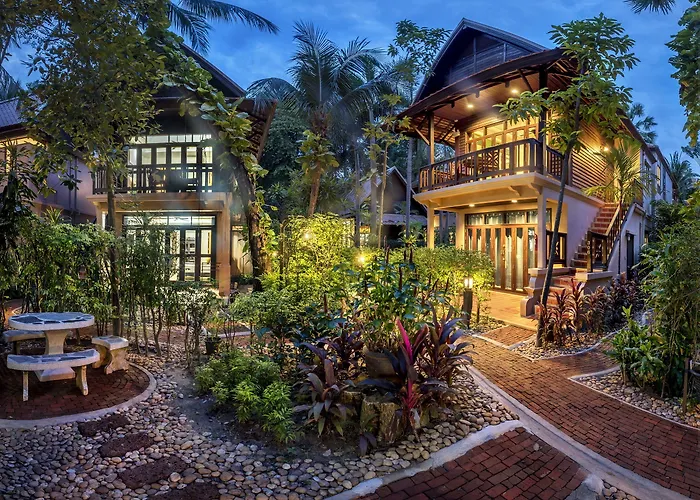 Rabbit Pattaya