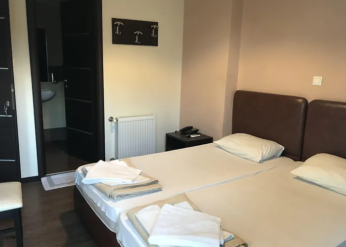 Dog friendly hotels Pella Inn Hostel