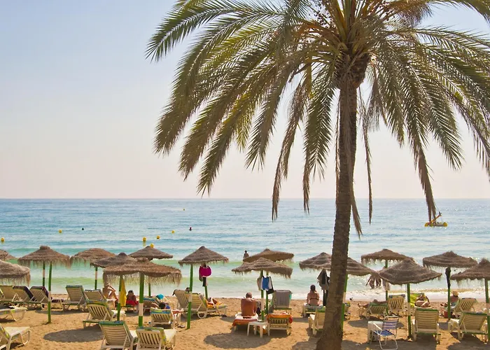 Family Hotel: Nh San Pedro De Alcantara