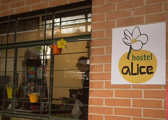 Alice E Padoca Vegan