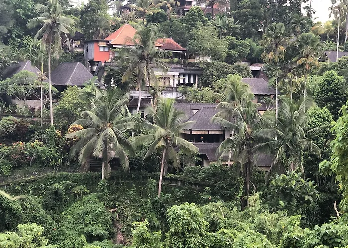 Waterpark hotel: Ibah