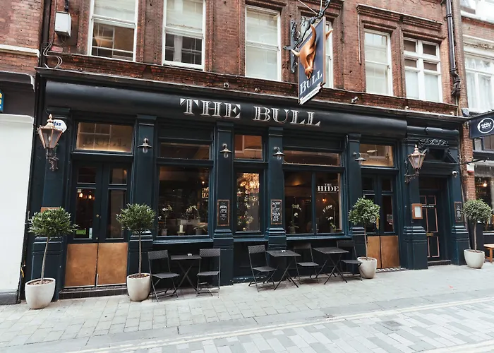 The Bull And The Hide