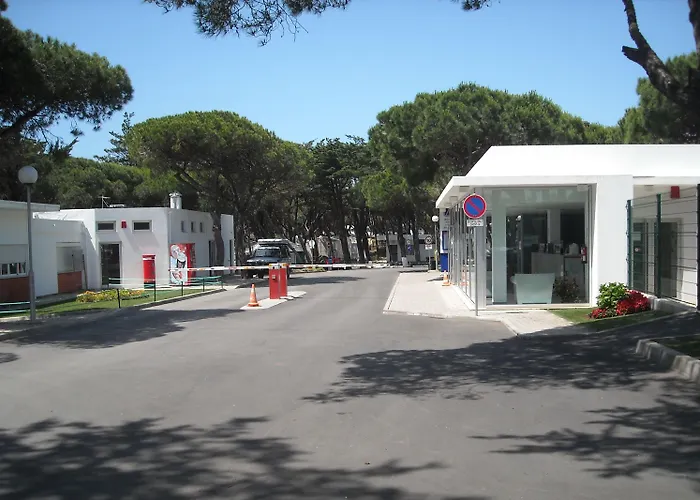 Hôtel accueillant les animaux: Parque De Campismo Orbitur Guincho
