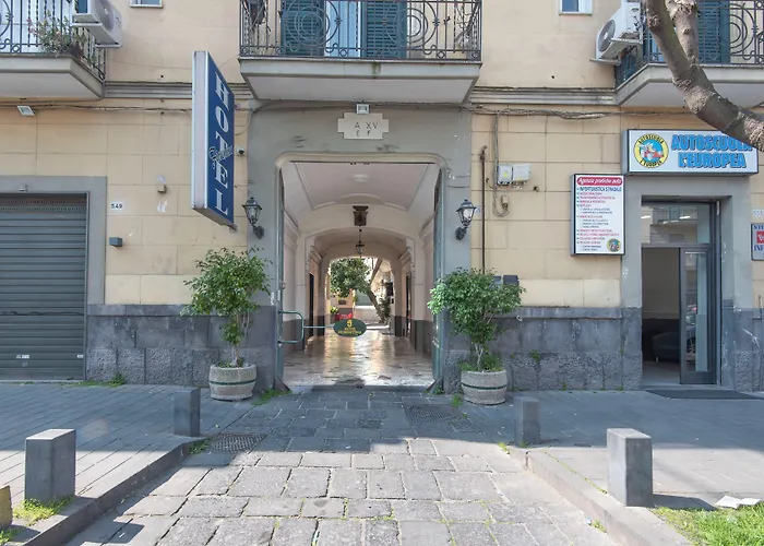 Hôtel: Hotel Fiorentina