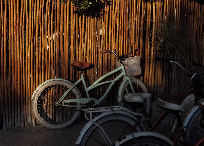 Hotel near College: Hotel Boutique Punta Caliza - Adults Oriented