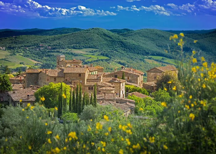  Castello Di Volpaia