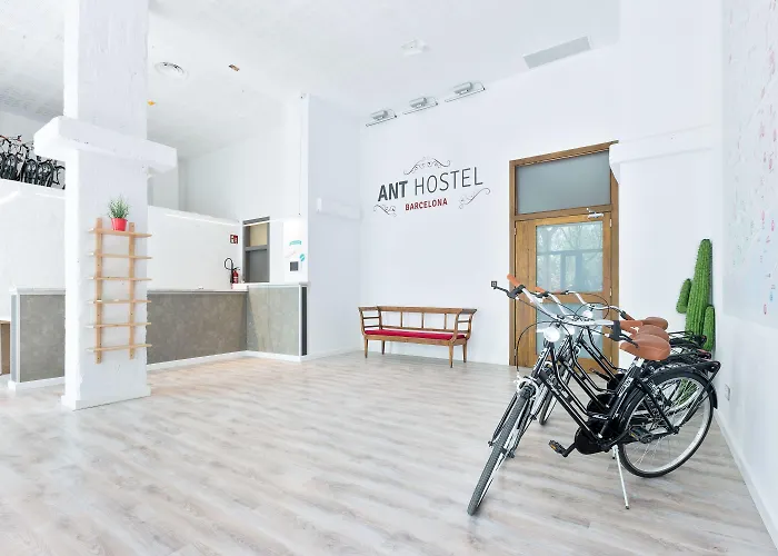 Hôtel accueillant les animaux: Ant Hostel Barcelona