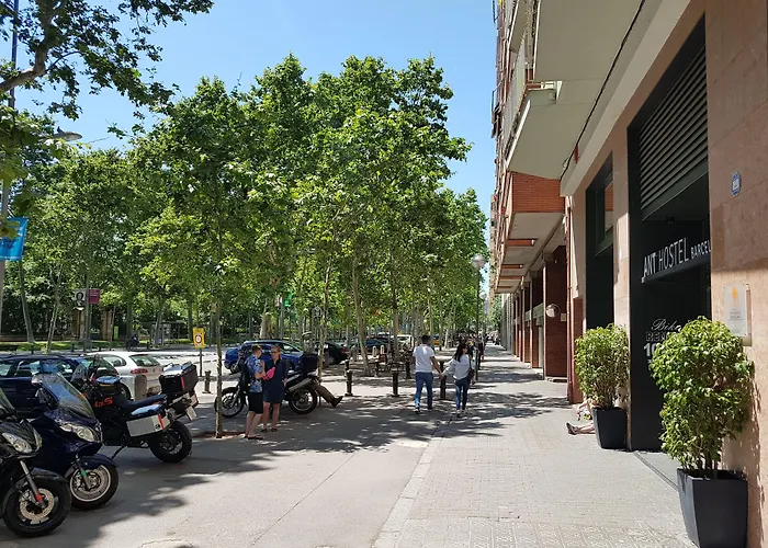 Hôtel accueillant les animaux: Ant Hostel Barcelona