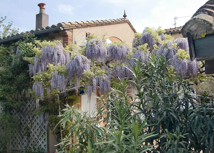 B&B: La Villa des Violettes