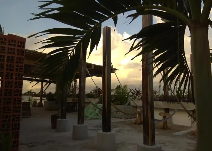 Cheap hotel: Hotel La Palmita By Mij