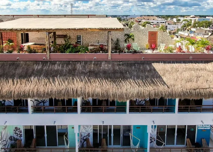 Cheap hotel: Hotel La Palmita By Mij