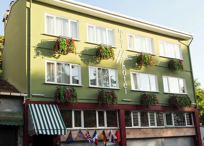 3 sterren hotel: Mini Harem Hotel