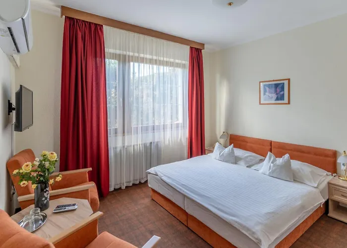 Hotel Molnar