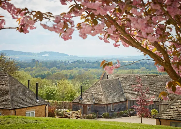 Pet Friendly hotel: The Fish Hotel