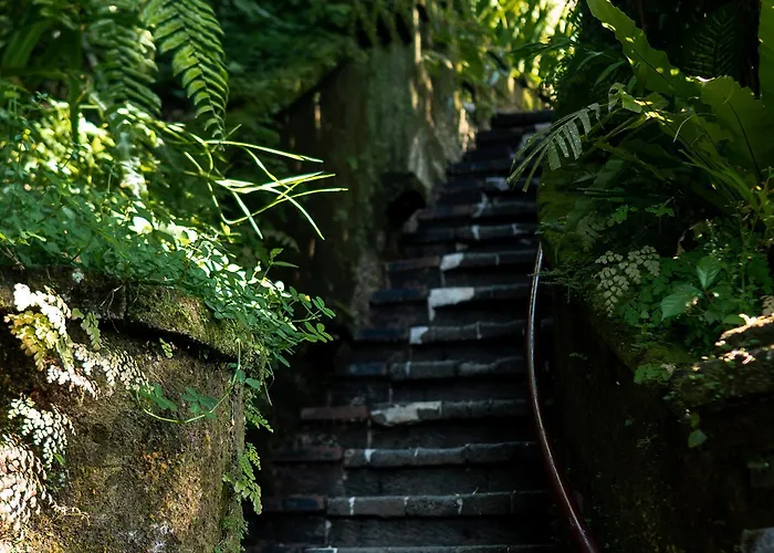 Waterpark hotel: Ibah