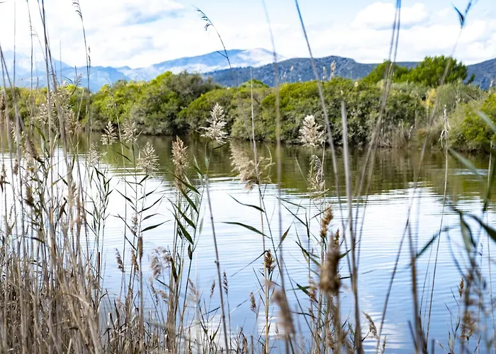 Family Hotel: Eix Lagotel Holiday Resort