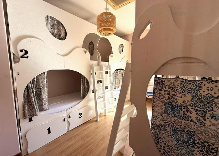 Hôtel accueillant les animaux: Sunset Destination Hostel