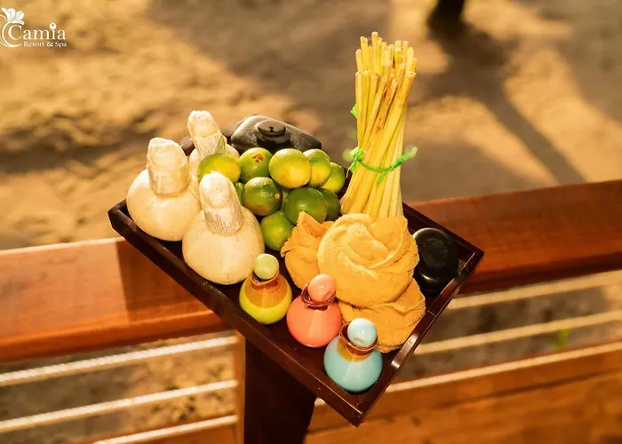 Family Friendly Hotels Camia & Spa