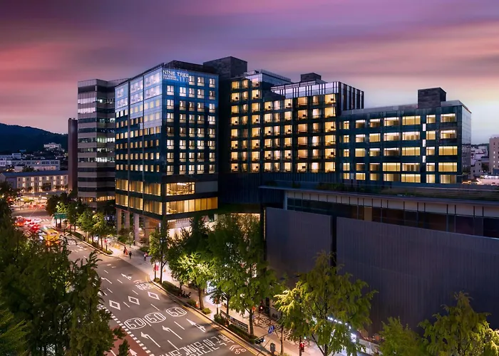 Luxury hotel only: Nine Tree By Parnas Seoul Insadong