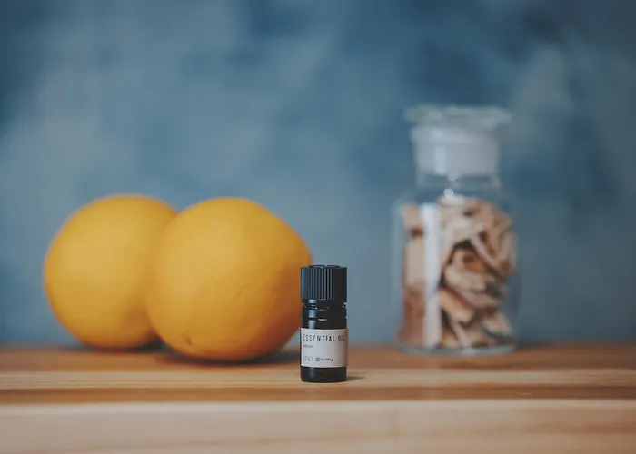 Central hotel: Soki Kanazawa