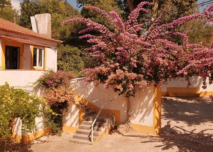 Quinta Do Boição