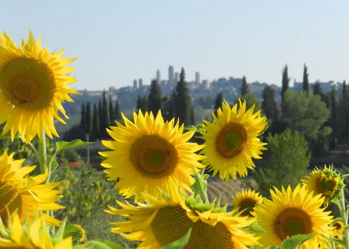 Montegonfoli