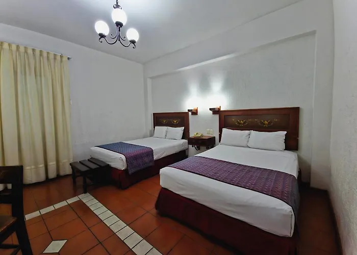Pets Allowed Hotel Fenix