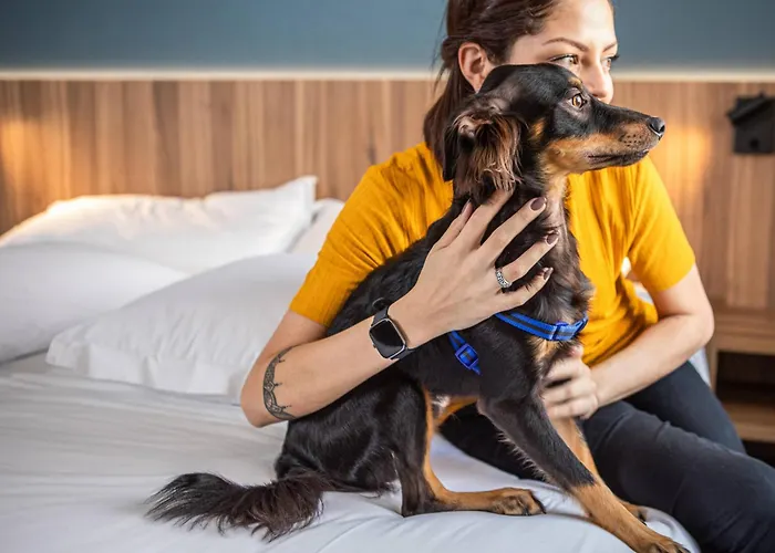 INNSiDE by Meliá São Paulo ITAIM