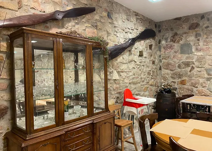 Hôtel accueillant les animaux: Hotel Canton