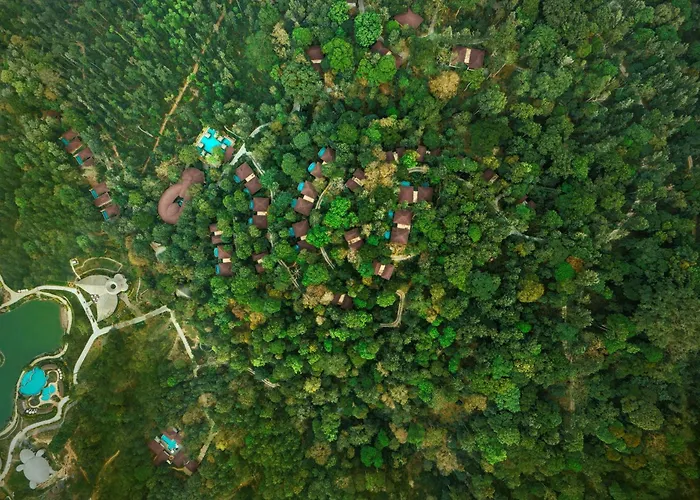 Timbertales Luxury Resort Coorg