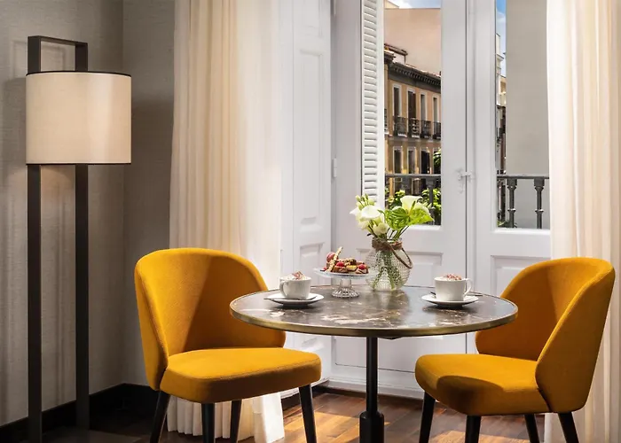 Pet Friendly hotel: Nh Collection Madrid Palacio De Tepa