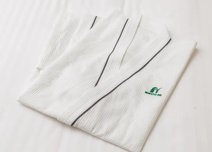 Boutique hotel only: Nishitetsu Inn Shinjuku