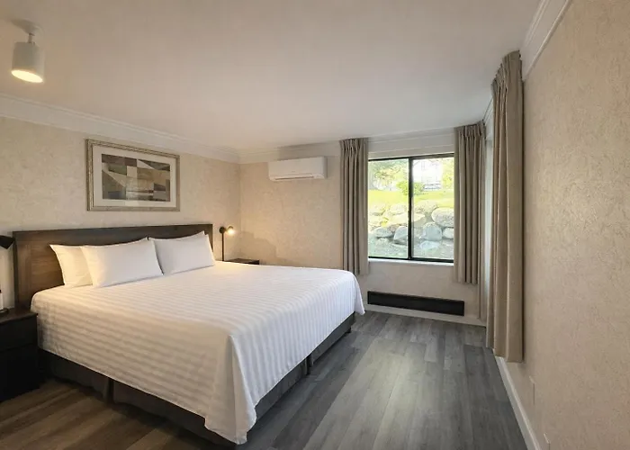 Suites