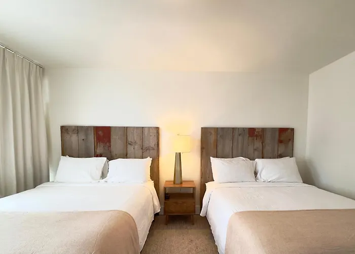 Pet Friendly hotel: The Montauk Beach House