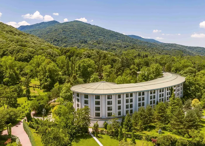  Ng Sapanca Wellness & Convention