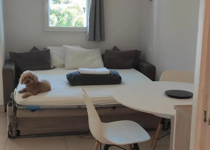  Residence Les Palmiers