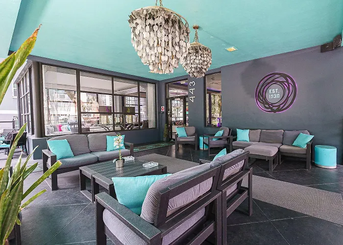 Pets Allowed Hotel Avalon Downtown St. Petersburg