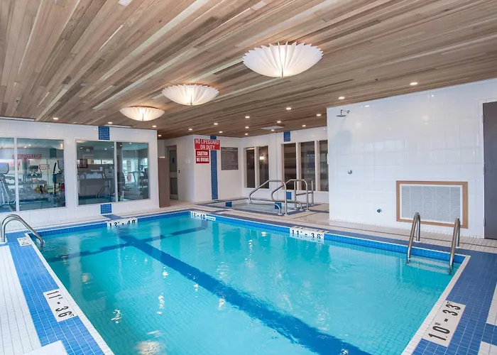 Pets Allowed Hotel Sandman Signature St. John'S