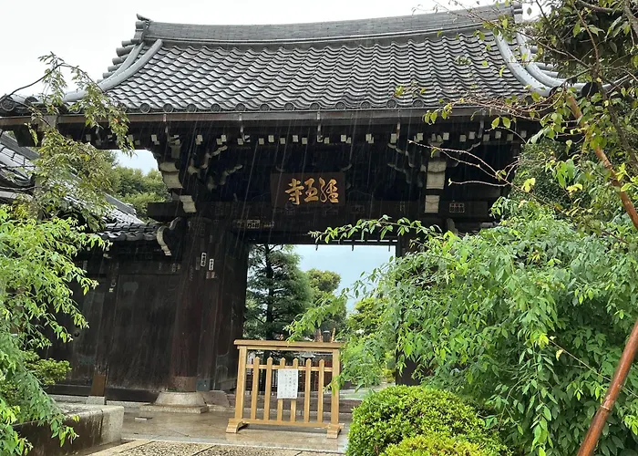 Art Nippori Lungwood