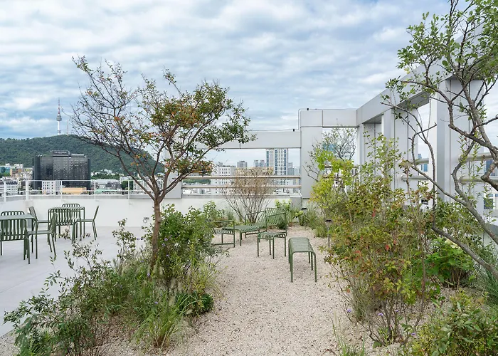 Mangrove Dongdaemun