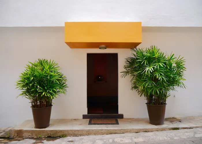 Casa Cupula Lgbt Luxury Resort