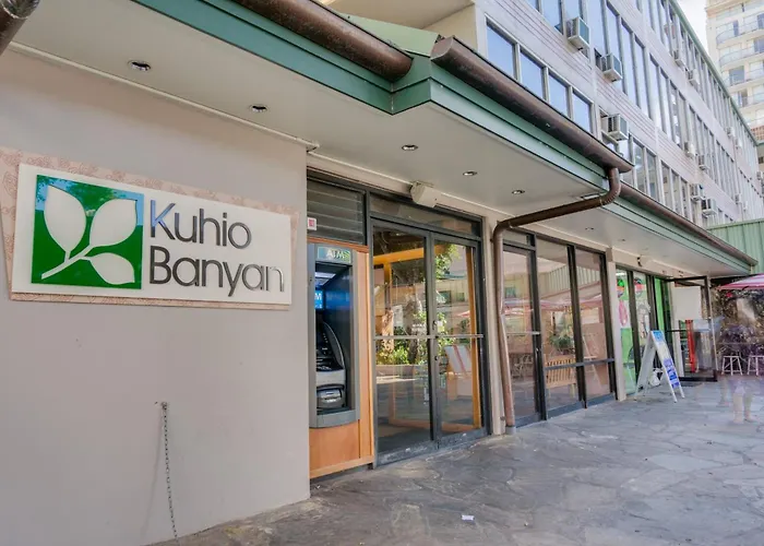 Kuhio Banyan